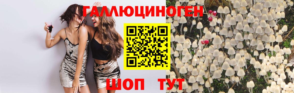 Псилоцибиновые грибы MAGIC MUSHROOMS Саяногорск