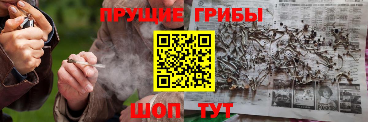 Галлюциногенные грибы MAGIC MUSHROOMS  Вход с VPN  Саяногорск  Псилоцибиновые грибы Psilocybine cubensis 